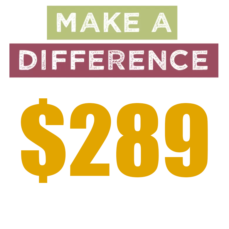 Muokkaushinta: $289