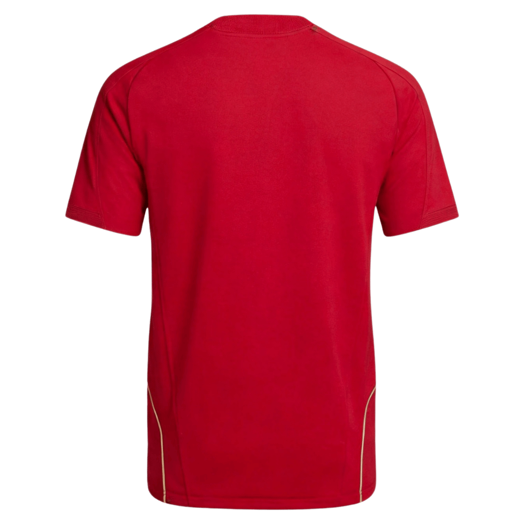 Retro Soccer Jersey Spain Home 2008