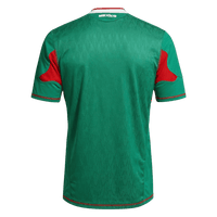 Retro Jersey Mexico hjemme-VM 2010